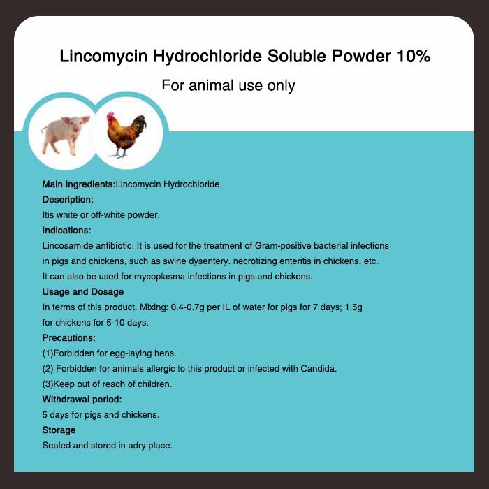 লিনকোমাইসিন হাইড্রোক্লোরাইড দ্রবণীয় পাউডার 10 শতাংশ