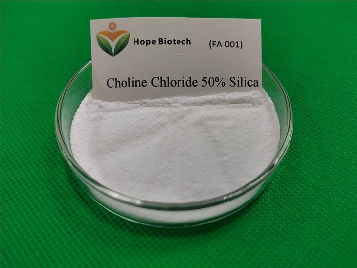 কোলিন ক্লোরাইড 50 শতাংশ সিলিকা