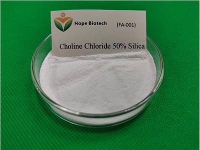কোলিন ক্লোরাইড 50 শতাংশ সিলিকা
